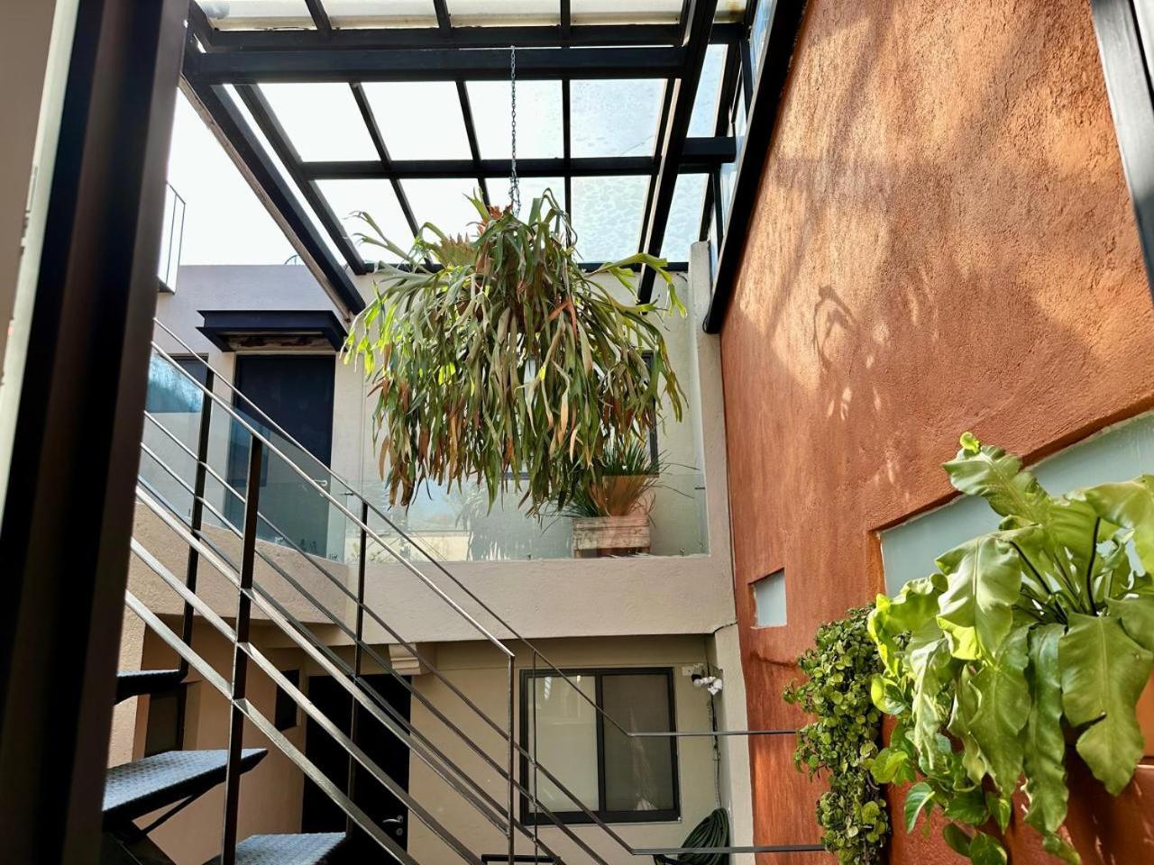 Casa Bakora 3*